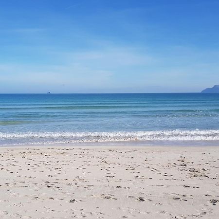 Ideal Property Mallorca - Barbera 알쿠디아 외부 사진