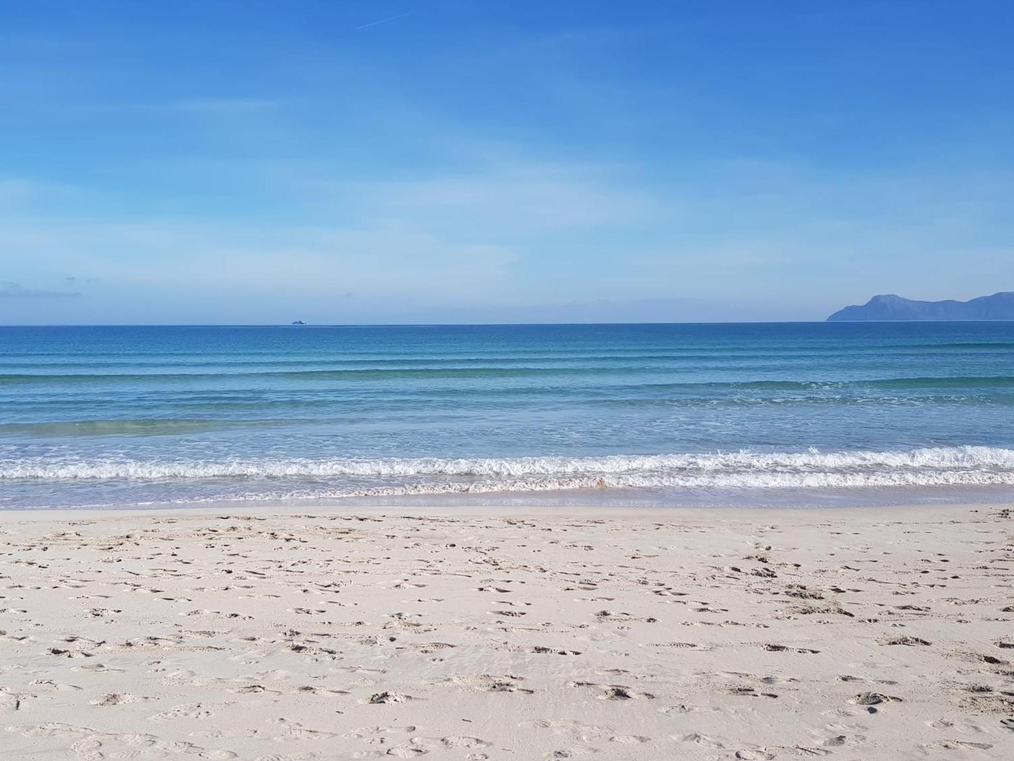 Ideal Property Mallorca - Barbera 알쿠디아 외부 사진